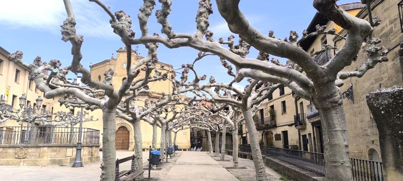 Foto 7638246a-4c2b-4a34-b0aa-27c2ded20f08. Pis a Elciego