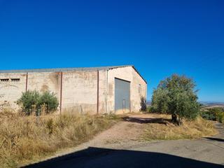 Fabrikhalle in Galilea