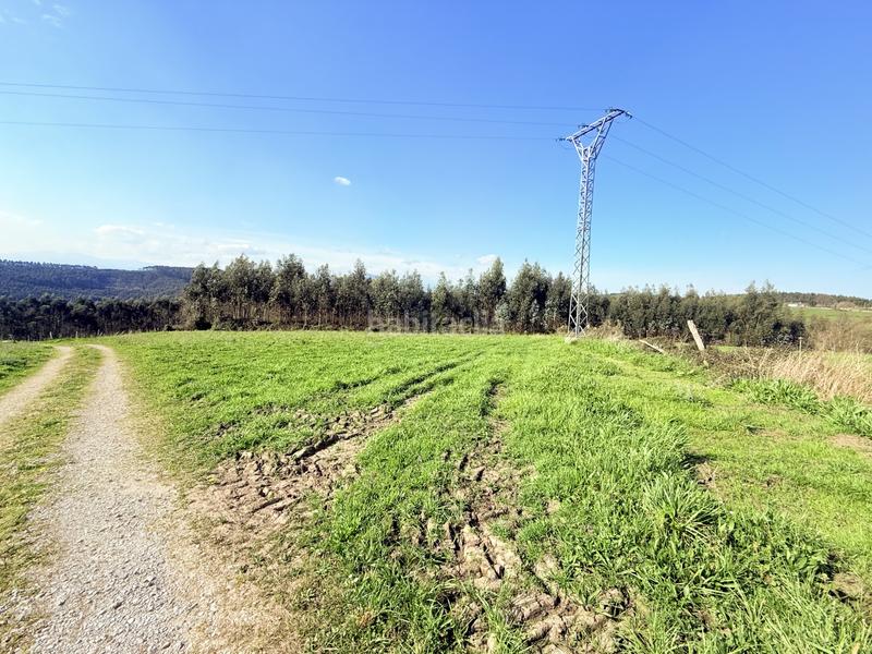 Foto bd498b13-adf1-4880-9a38-59d1a3c20f0f. Terreny residencial a Ribamontán al Monte