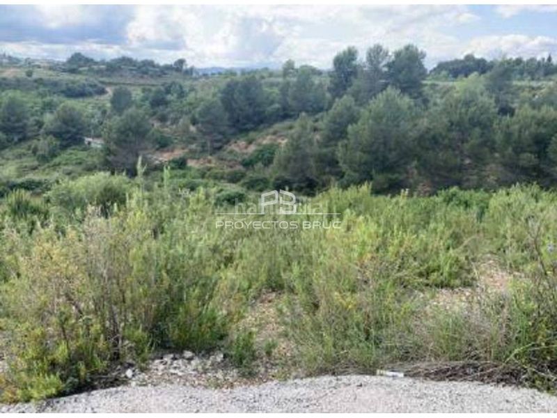 Foto 9b9ca14a-e138-4289-8ad7-6e315af11983. Finca rústica a Sant Esteve Sesrovires