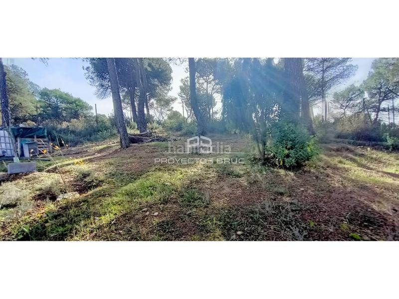 Foto 130b43d8-899d-48ab-9b7c-c4d6b06ef5fe. Landgut in Bruc (El)