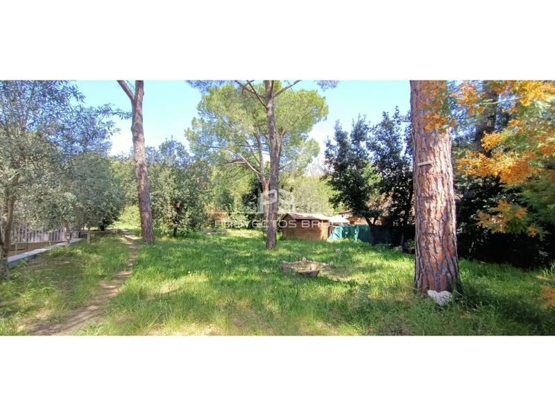 Foto d59d67d9-d1d0-43c3-9b03-7b685722131c. Terreny residencial a Collbató