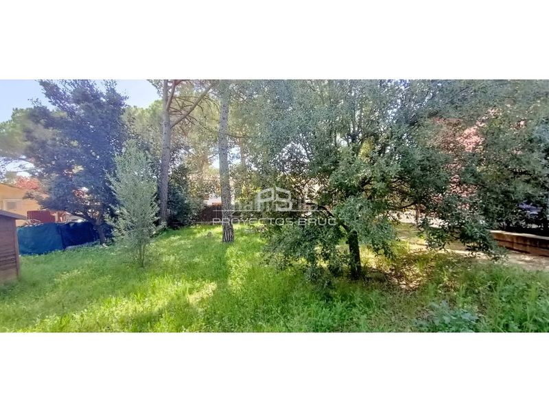 Foto fd2392c6-daa2-4d7b-bdb0-c7e92090a117. Terreny residencial a Collbató