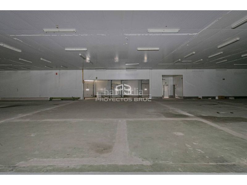 Foto ebee21c6-5879-4491-8aed-3ee40e0b0ed9. Capannone industriale in Mura