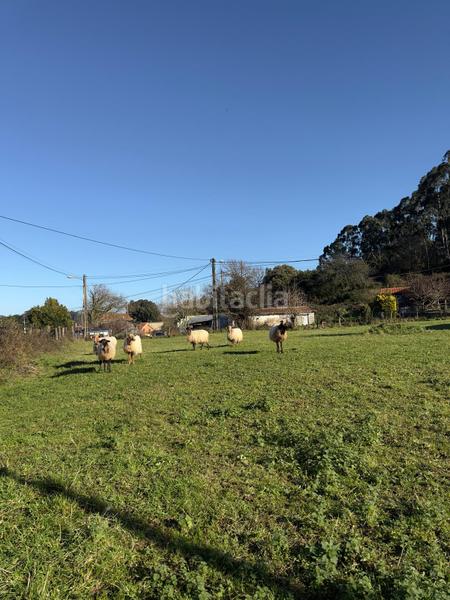 Foto bd4fb48f-ce1a-432b-bf6f-19f59f459fb9. Terrain résidentiel dans Samano Castro - Urdiales