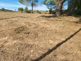 Terreny residencial a Castellbisbal