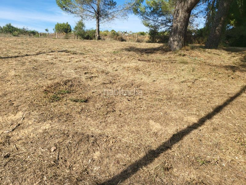 Foto 1afa75a4-8fc0-43ea-bd6d-41c6e8ffcaad. Terreno residencial en Castellbisbal