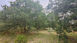 Terreny residencial a San Cibrao das Viñas