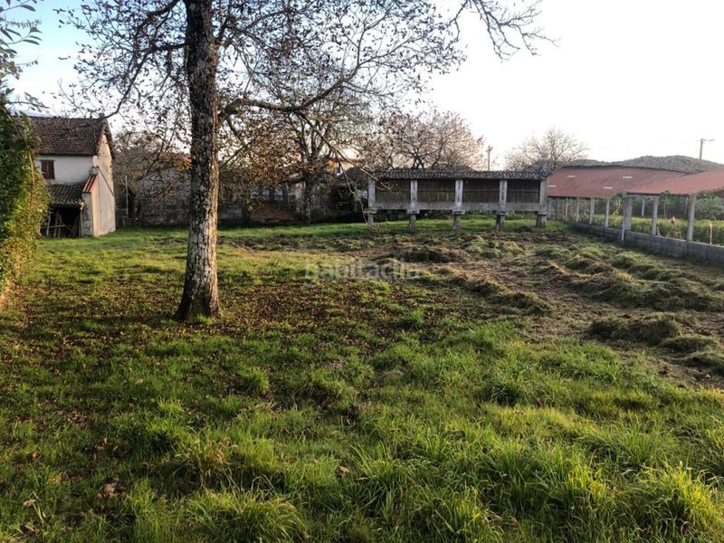 Foto 74c76a8d-b401-4f04-8348-f3bd092ebca2. Casa a Pereiro de Aguiar (O)