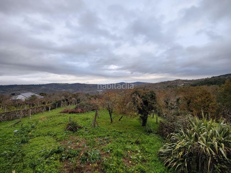 Foto 7c2dbd66-f0bf-4cc0-88d7-2b6f09005286. Casale in Merca (A)