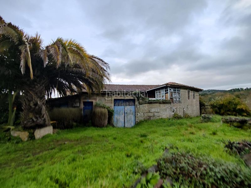 Foto a6cc59c5-4a78-4112-9df9-238ba19c8217. Casale in Merca (A)