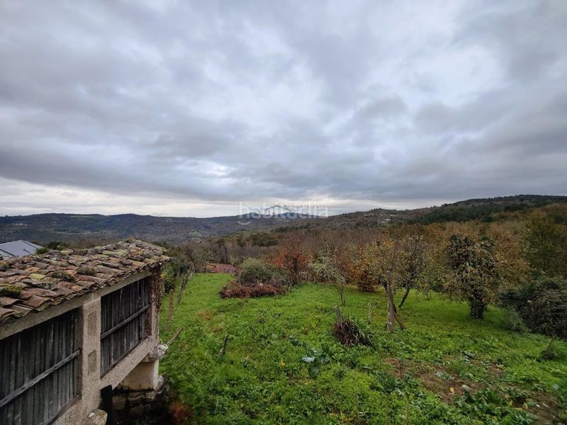 Foto db213cda-9e3f-4ee5-b719-143824bef559. Casale in Merca (A)