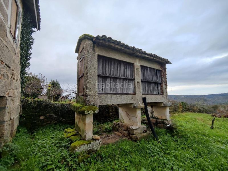 Foto 2f0d1bc5-8044-492d-8e10-d5f5e2143b23. Mas dans Merca (A)