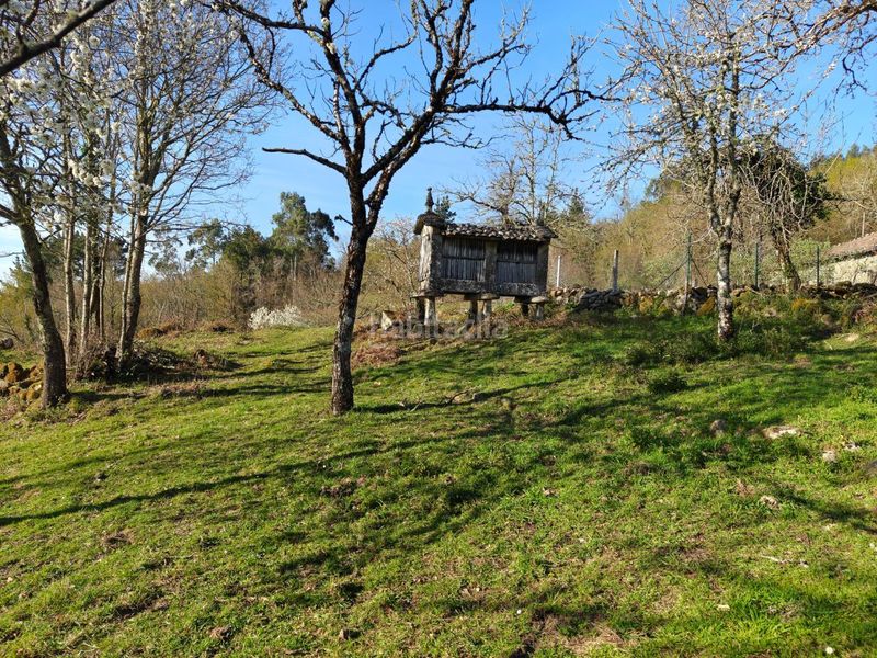 Foto 40c77bec-c68a-44fa-ac8c-6145cbf385c4. Casa en Nogueira de Ramuín