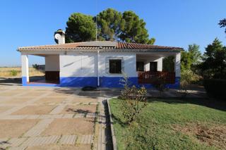 Chalet à Daimiel. Chalet en venta en daimiel, 3 dormitorios.