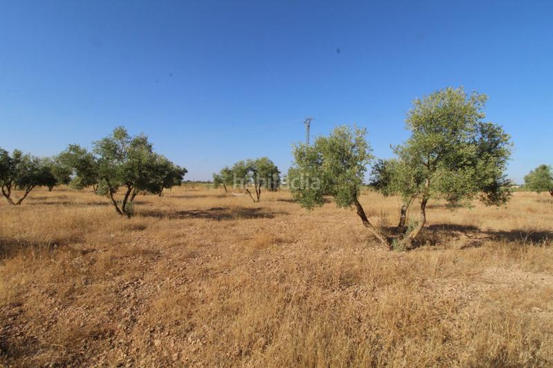 Foto 046462f4-b42b-4b6c-a7cd-1e57725b10d6. Alquiler chalet  en alquiler , 3 dormitorios. en Daimiel