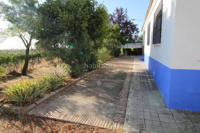 Foto e37f2e64-293d-4dba-bef4-7bb6276538ba. Alquiler chalet  en alquiler , 3 dormitorios. en Daimiel