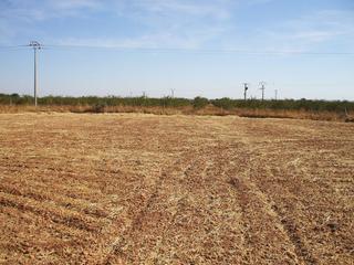 Residential Plot in Pozuelo de Calatrava. Parc. rúst. en venta en pozuelo de calatrava.