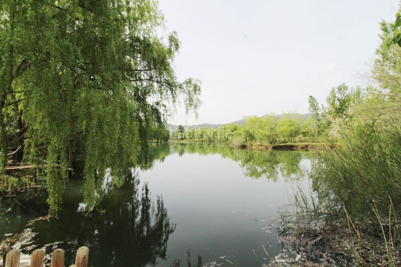 Foto 463718cc-3ab3-4562-9d22-6a19773f7911. Xalet amb calefacció a Malagón