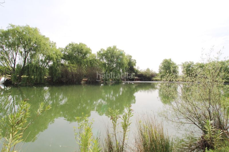 Foto 6da0de6e-60d5-4fbb-9f9a-a6e5298e7860. Xalet amb calefacció a Malagón