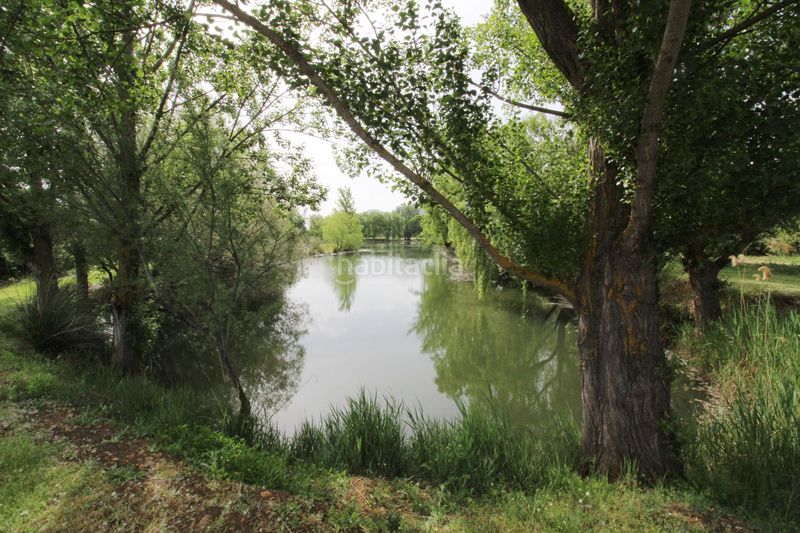 Foto c4a15746-af66-4939-bdf0-2b82d22e923a. Xalet amb calefacció a Malagón