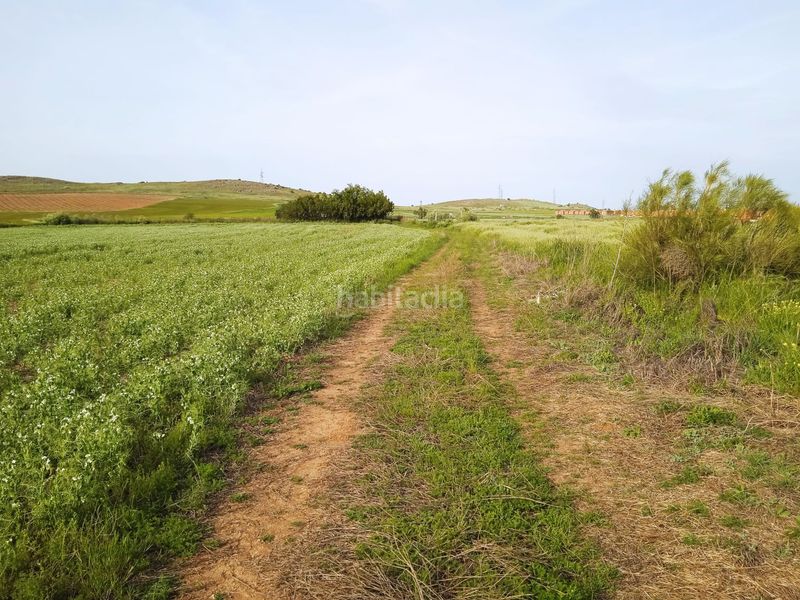 Foto aa36c4c6-f87a-42e8-bda1-d7951d02fa57. Terreny residencial a Poblete