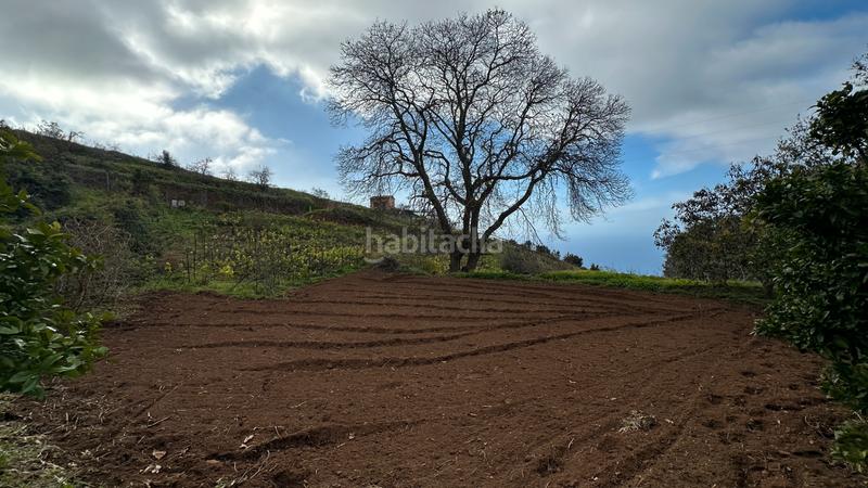 Foto 0fcc8696-f0ff-4f9a-9512-8f4b39048131. Mas dans Sauzal (El)