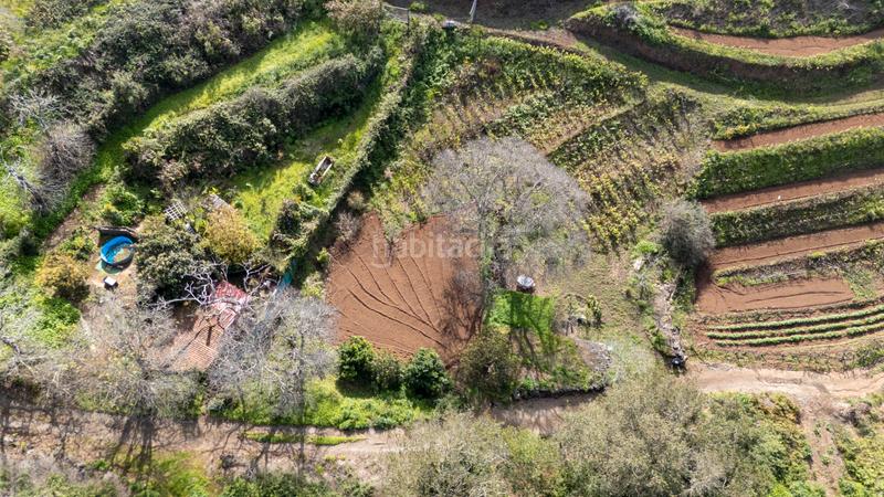 Foto 7a72233c-c106-4160-bc81-833b3c03e025. Mas dans Sauzal (El)