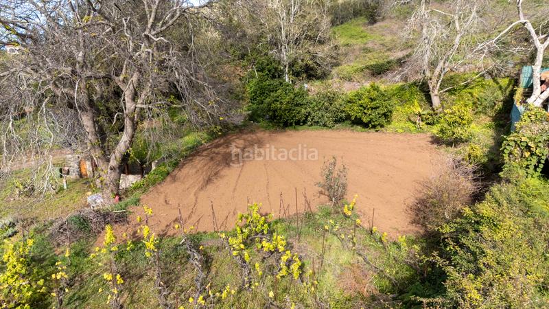 Foto c624d34d-061f-4071-9899-227476192898. Mas dans Sauzal (El)