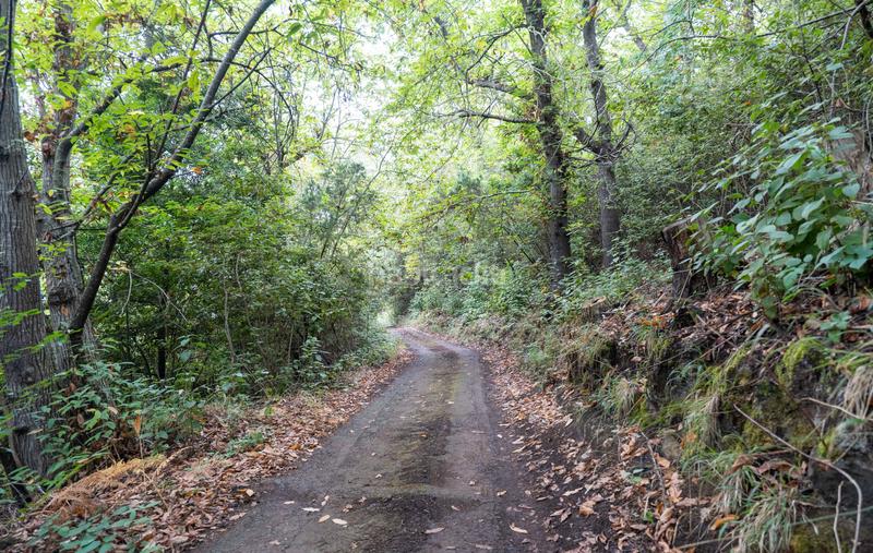 Foto 0d400fa0-e4f5-4625-9d63-77762bbaea75. Masia amb xemeneia aparcament a La Perdoma - San Antonio - Benijos Orotava (La)