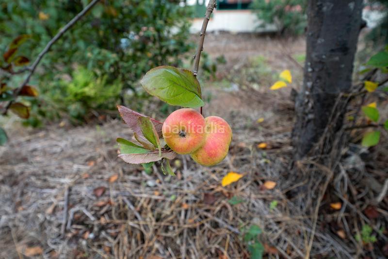 Foto 2e92d985-5d32-48b2-99f5-cd6e95579795. Masia amb xemeneia aparcament a La Perdoma - San Antonio - Benijos Orotava (La)