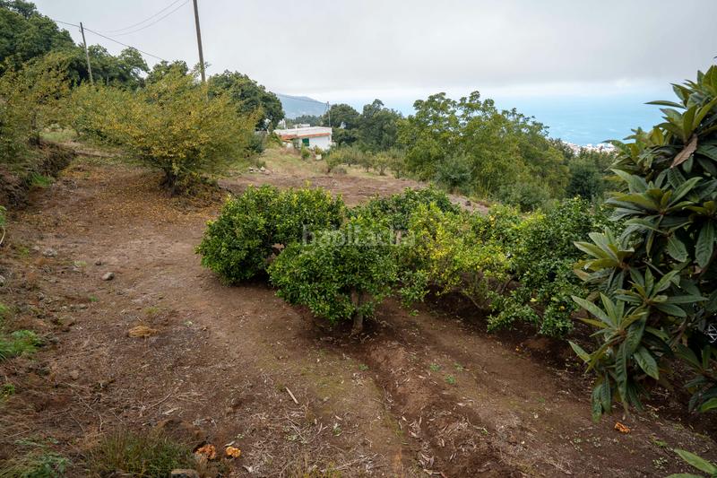 Foto 55463c17-c7e3-4488-84a2-399a25dc538e. Masia amb xemeneia aparcament a La Perdoma - San Antonio - Benijos Orotava (La)