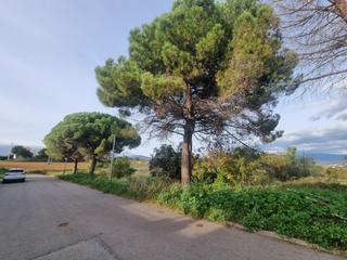 Terreny residencial a Canovelles