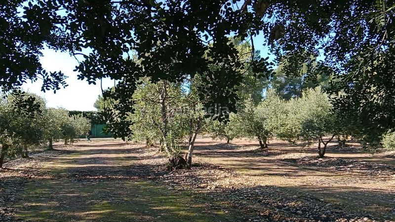 Foto 02a9735f-d750-46bb-a48e-3908c96cdbfa. Finca rústica a Poble Mont-roig del Camp