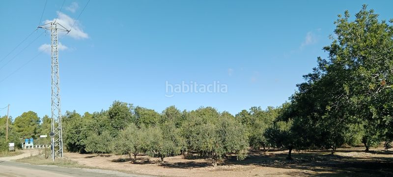 Foto 65adac60-d5c3-4627-bb48-c119d83771ce. Finca rústica a Poble Mont-roig del Camp