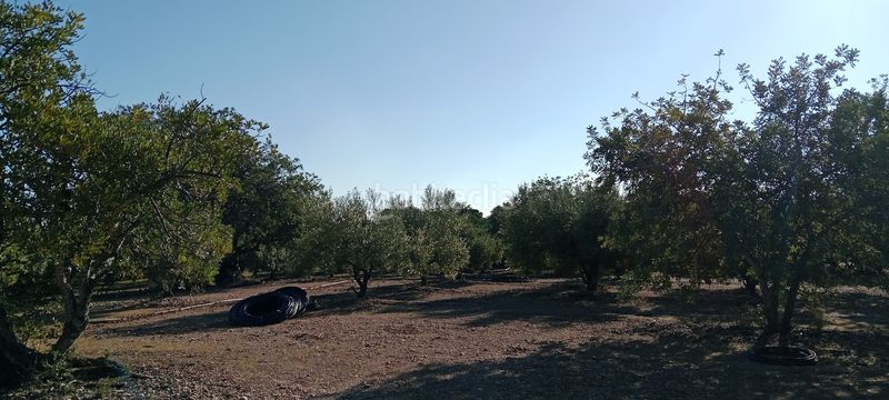 Foto e7511cda-c780-495b-a684-538695fd5c4c. Finca rústica a Poble Mont-roig del Camp