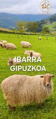 Pis  Euskal-herria kalea. Oportunidad en ibarra