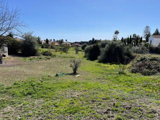 Terreny residencial a Guadalmina Alta. Fantástica parcela en guadalmina alta de 9.101 m2 ideal para pro