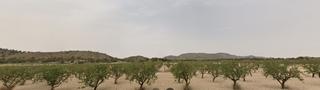 Mas à Tobarra. Finca rúst. en venta en tobarra.