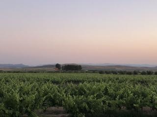 Masa en Tobarra. Finca rst. en venta en tobarra.