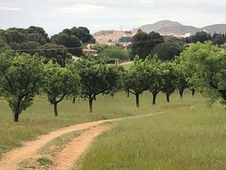 Masía en Hellín. Finca rúst. en venta en hellín.