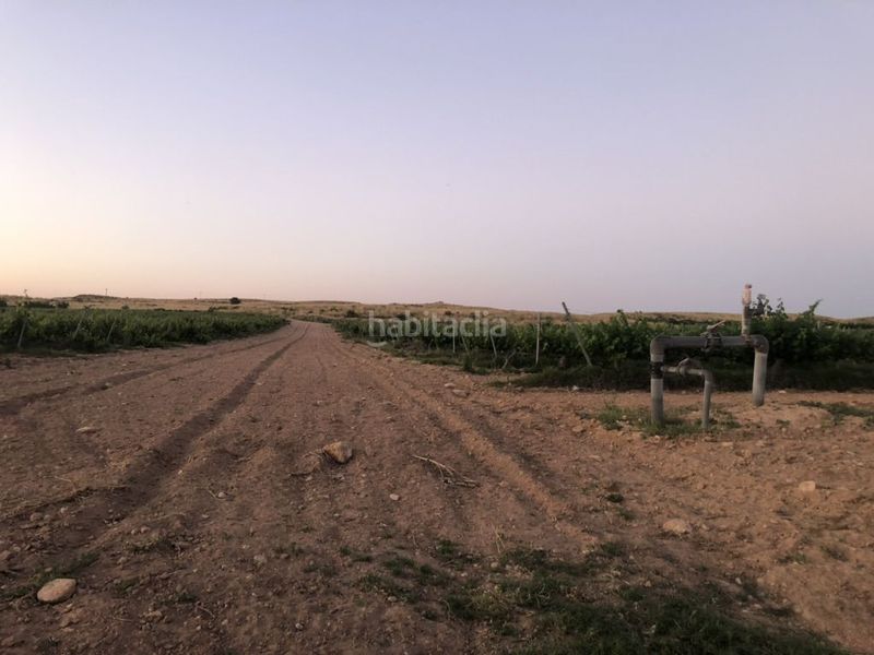 Foto ea59e1ae-c5ef-45dd-a5e8-9d6187bf3552. Terreny residencial a Tobarra