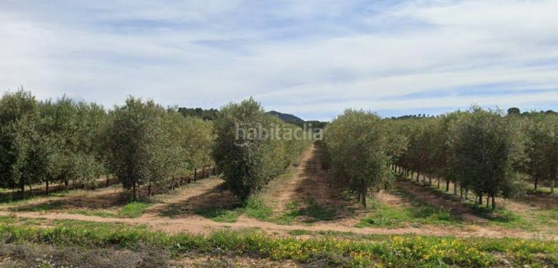 Foto d62b2e03-59ad-44b6-b8cf-e63499f3d5a1. Terreny residencial a Tobarra