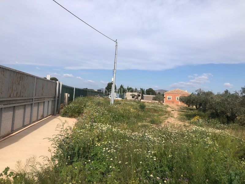 Foto d7c1cfb2-0459-4884-a581-b67bcb89ac9d. Terreny residencial a Hellín