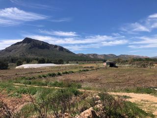 Casale in Hellín. Finca rúst. en venta en hellín.