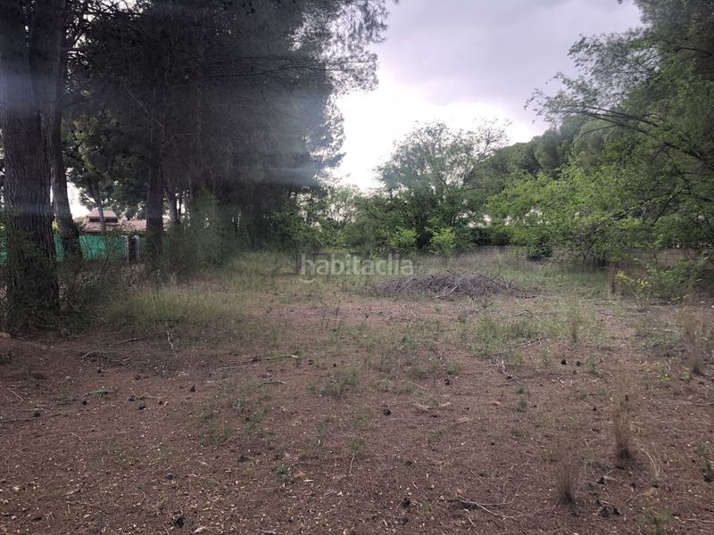 Foto b154a06c-ba4d-4338-b970-94950def5e8c. Terreny residencial a Hellín
