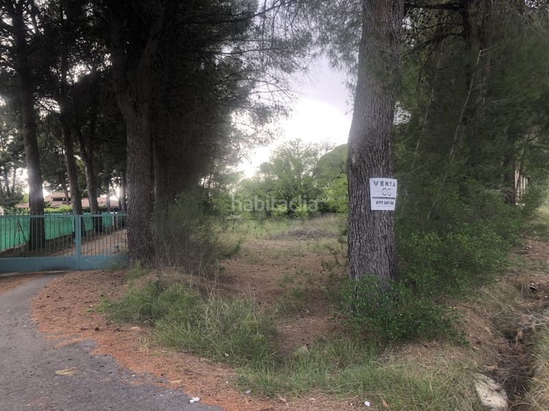 Foto b942285f-9049-4b0f-b451-3a77be30eee5. Terreny residencial a Hellín