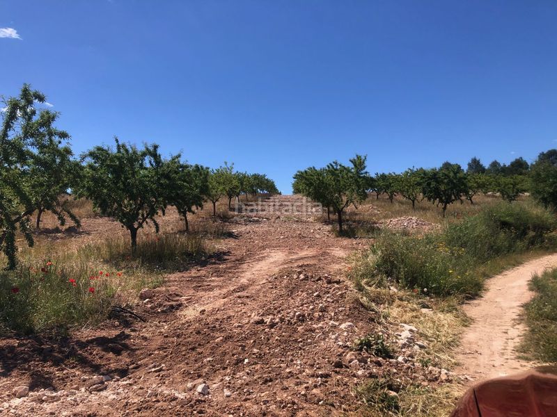 Foto e75d2342-f8a3-4500-8768-feaf9c495b3f. Terreno residenziale in Hellín