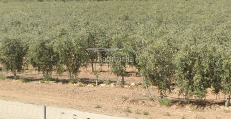Foto badb7e3e-c0cf-4068-b503-0c9e85e44d68. Terreny residencial a Hellín