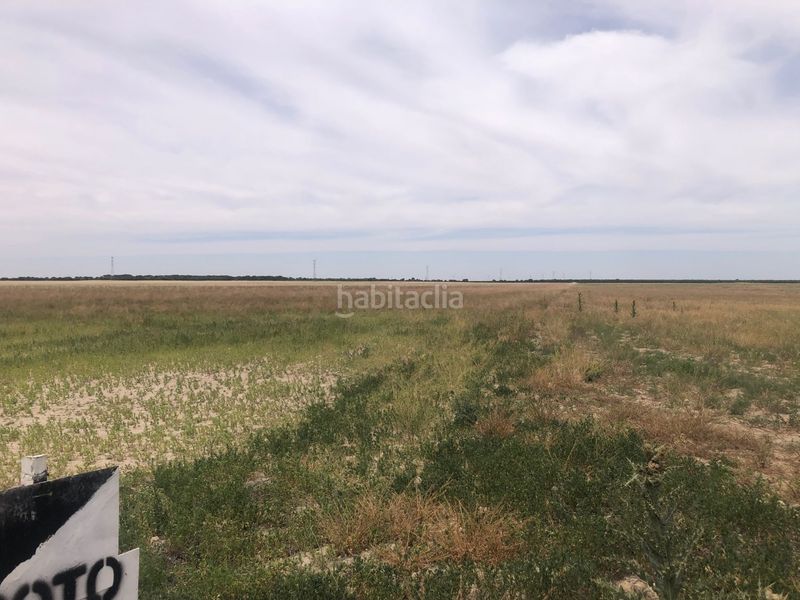 Foto 8c7b97d4-b661-42ed-bf35-5aa953444470. Terreno residenziale in Pedanías - Extrarradio Albacete